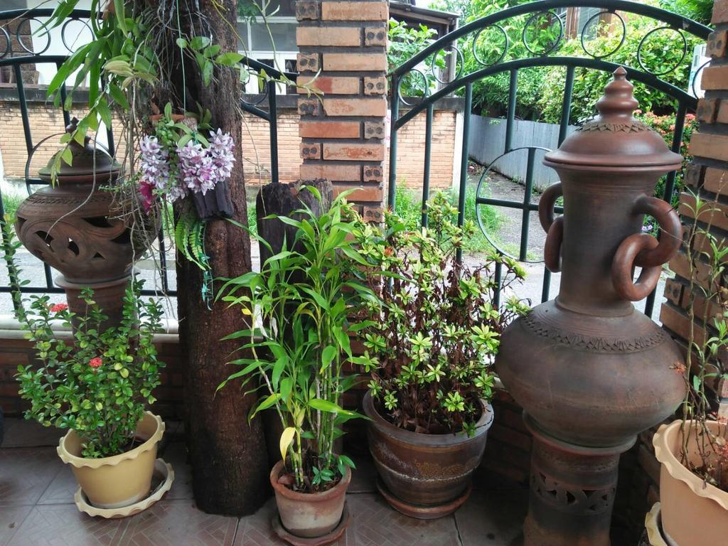 Villa Oranje Chiang Mai Eksteriør billede
